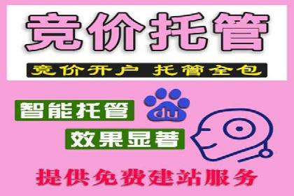 sem竞价推广托管成功案例：助力品牌快速崛起